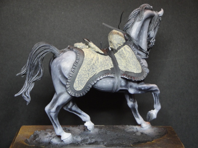 Hussard,Pegaso Models  Dsc01814