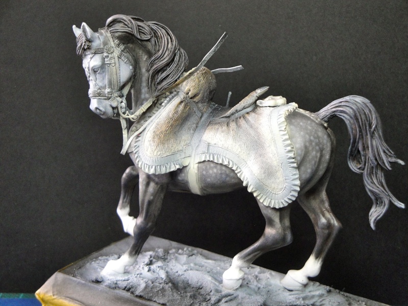 Hussard,Pegaso Models Dsc01816
