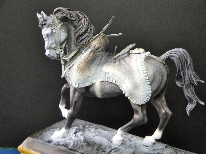 Hussard,Pegaso Models  Dsc01816