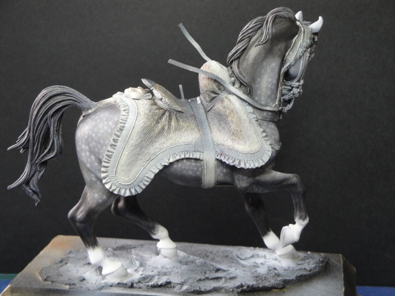 Hussard,Pegaso Models Dsc01819