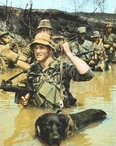 Les scout dog 5_bmp10