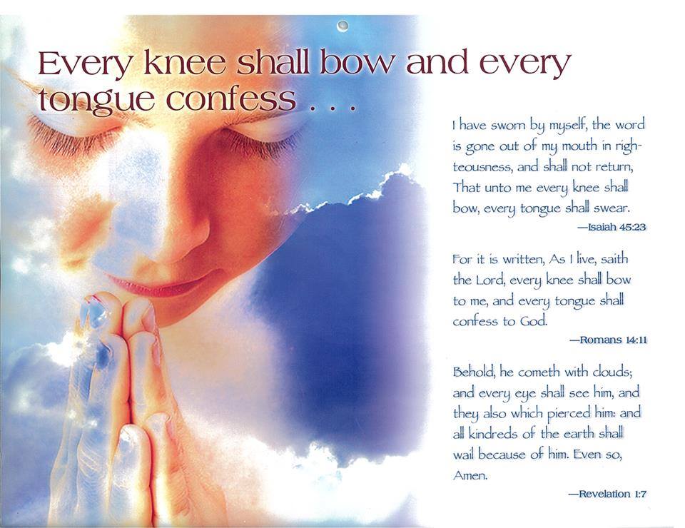 EVERY KNEE SHALL BOW AND EVERY TONGUE CONFESS…. 10178111