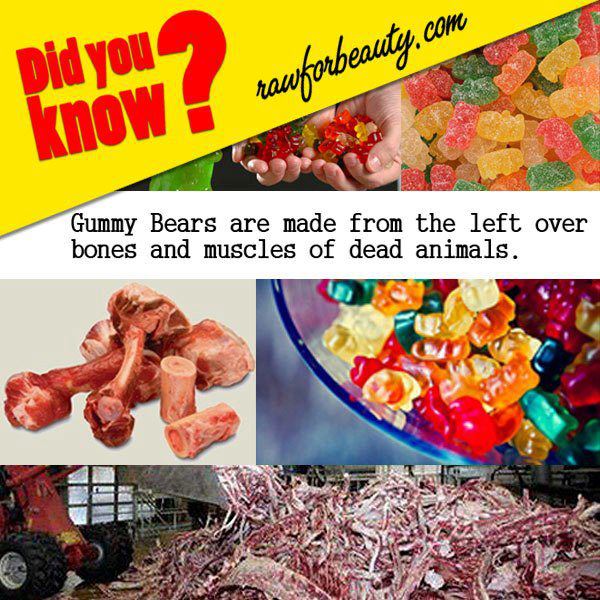 DID YOU KNOW ABOUT GUMMY BEARS? 55985410