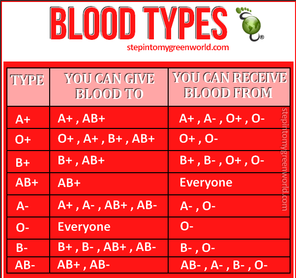 BLOOD TYPES 67961_10