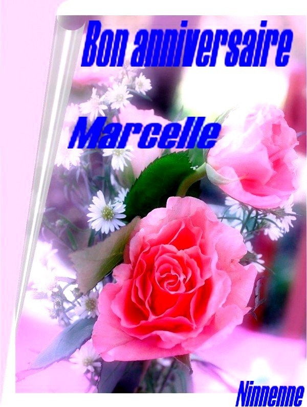 Bon anniversaire Marcelle Belle_71