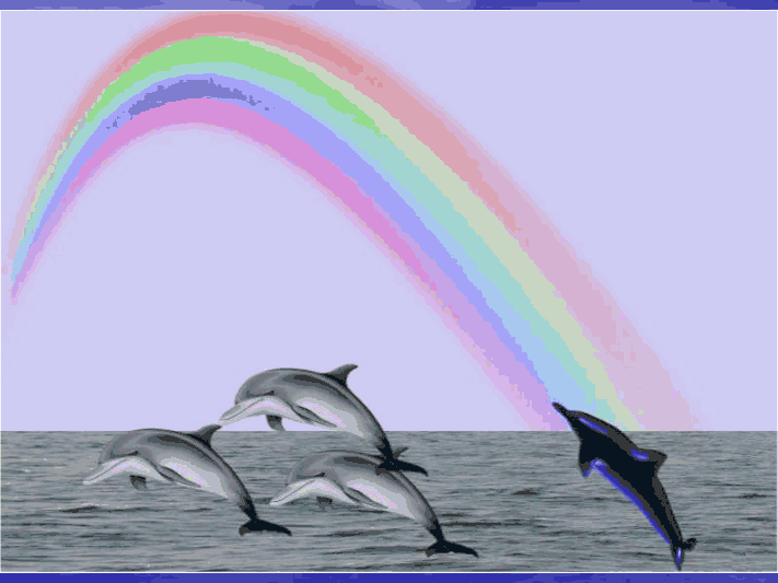 Le monde des dauphins              (Ninnenne) Viewe102