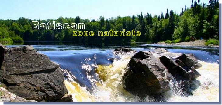 MAURICIE: comté Mékinac (rivière Batiscan) Chute815