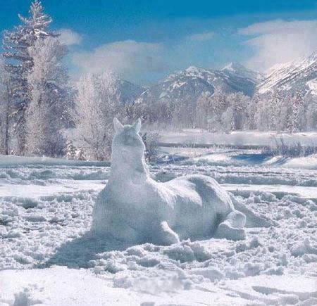 Magnifique leçon de créativité : chevaux de bois Cheval10