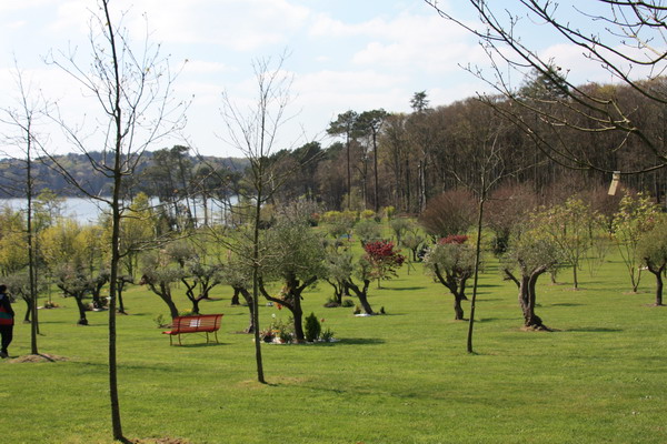 Le morbihan en avril Img_1515