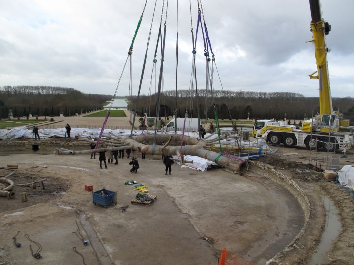 Travaux à Versailles 2014/2015 Araign10