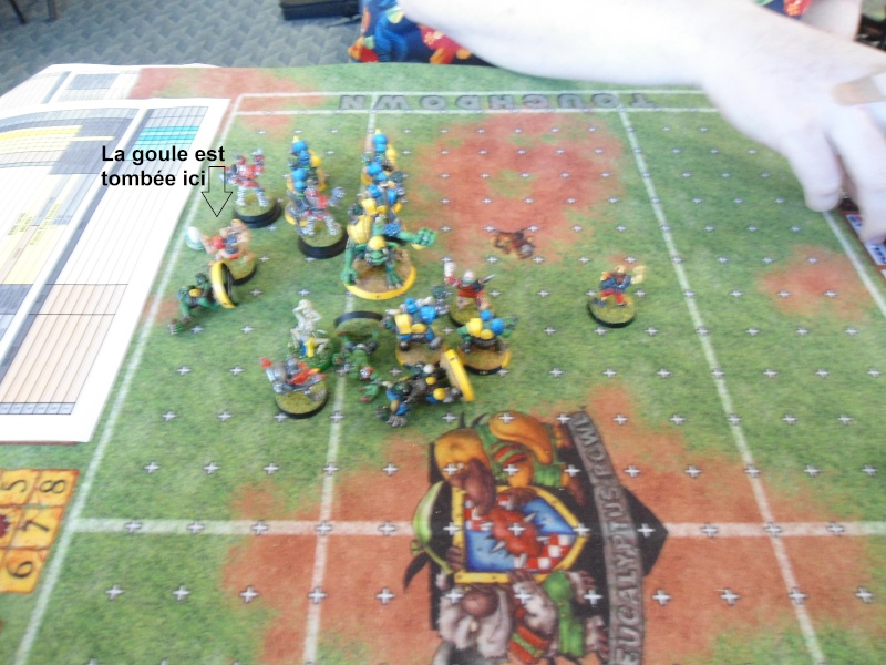 Le Blood Bowl "Down Under" et "Up Above" - Page 2 Dsc00913