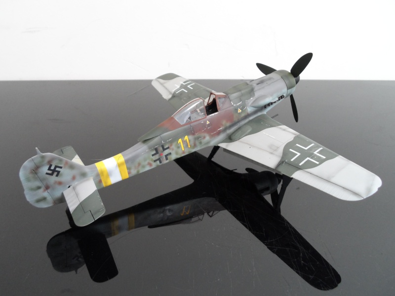 Fw 190 D9 Hasegawa 1/32 Sam_1538