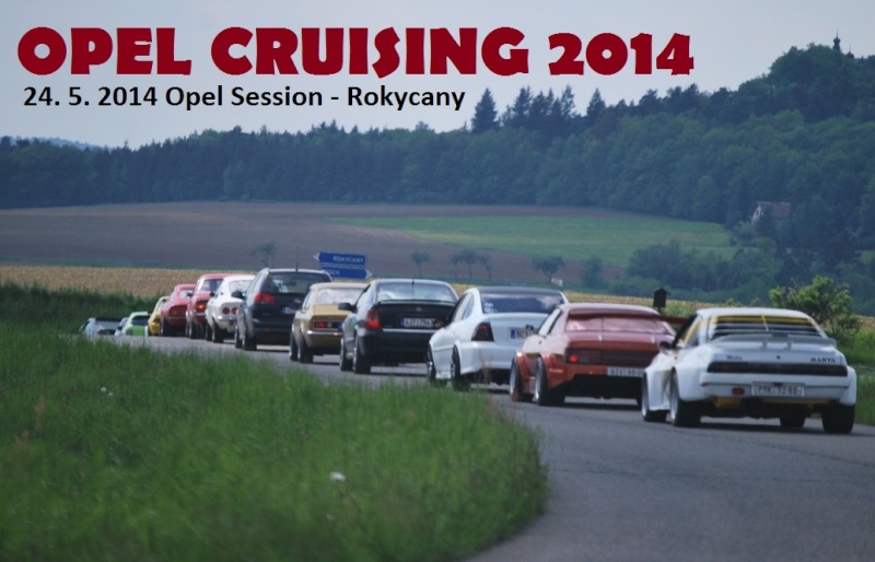 15. OPEL SESSION 2014 - Int. OPEL MEETING 23. - 25. 5. 2014 Q8_89710