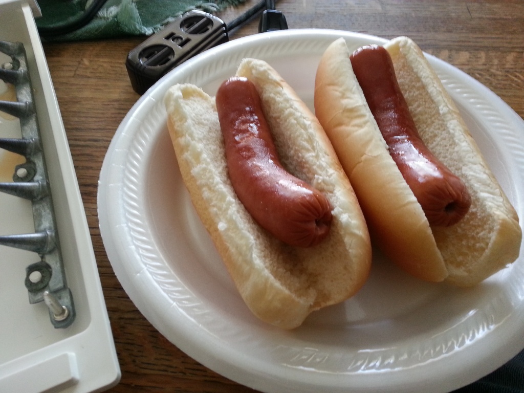 Cooking hotdogs with 120v Dogger20