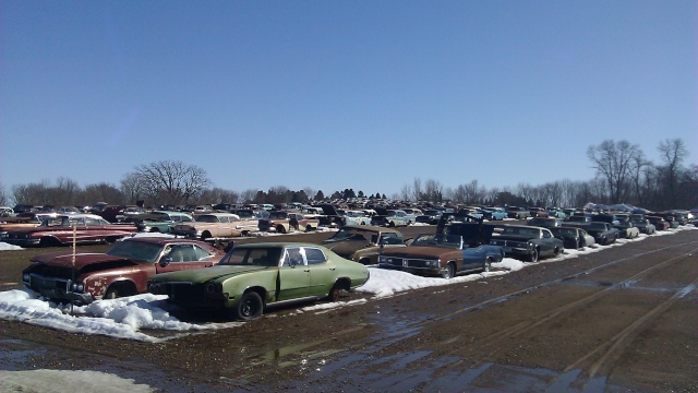 huge classic car junkyard Flsalv10