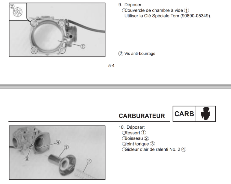 membrane de carbu Captur11