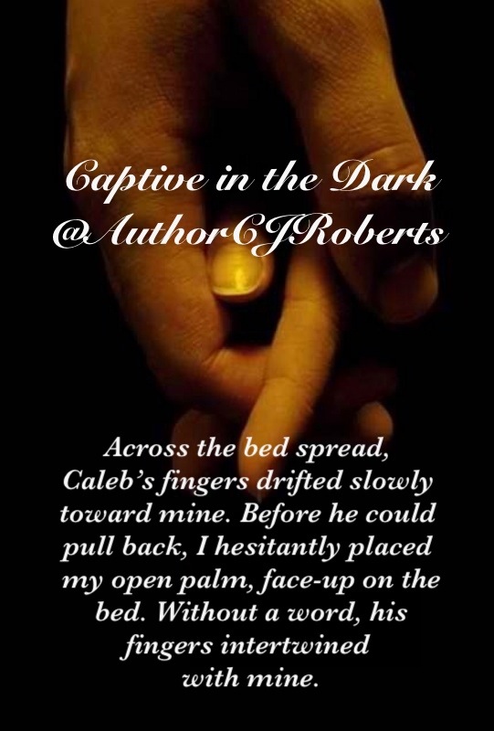 captive in the dark by cj roberts