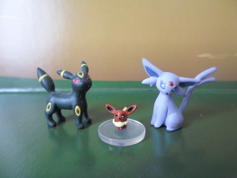 Attrapez les tous! Mes Eeveelutions (et autres) - Page 2 Sam_1741