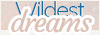 Wildest dreams