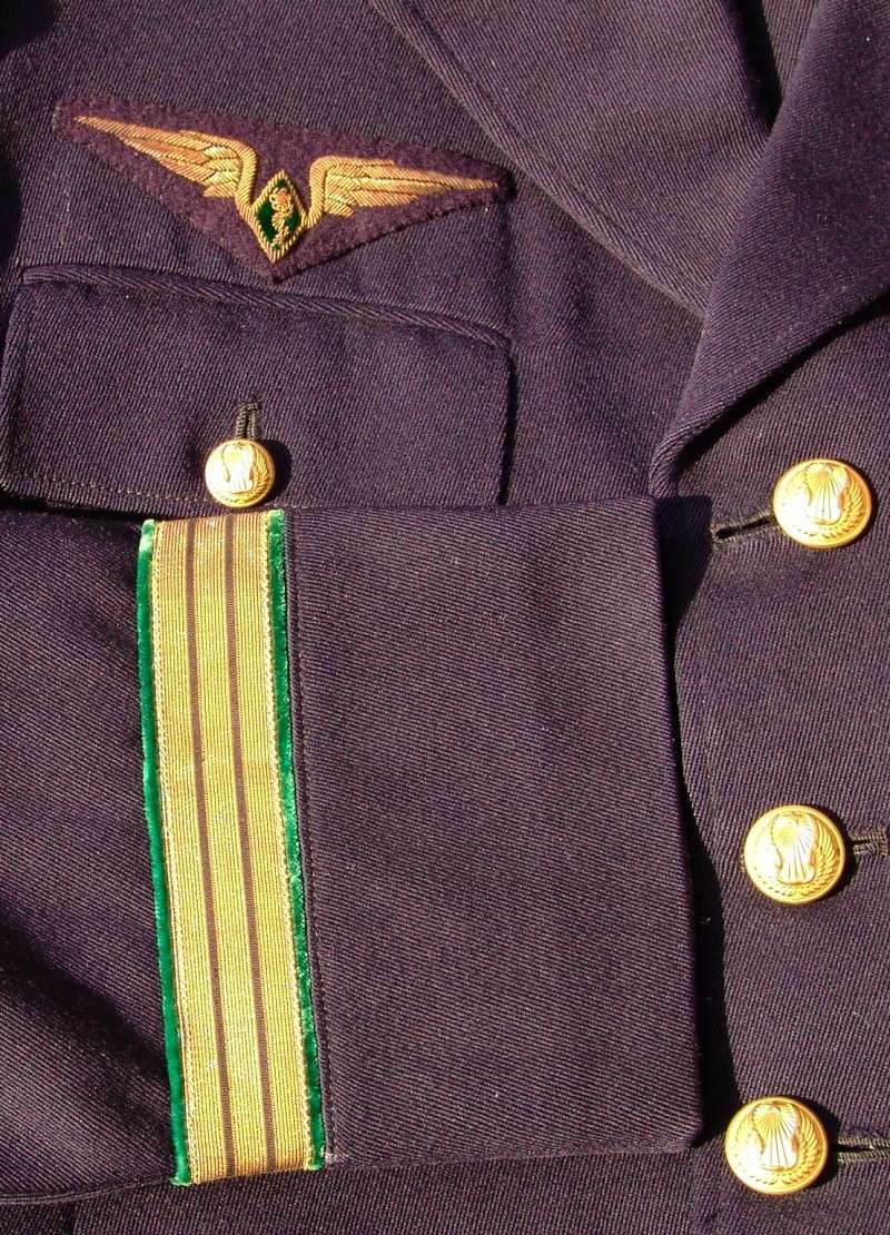 Casquette Armée de l'Air 1942. Dsc09439
