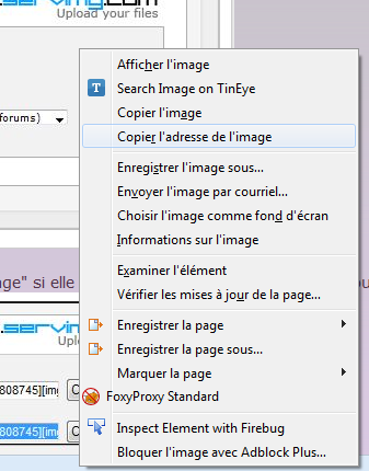 Comment poster une image sur le forum ? - Page 2 Sans_t10