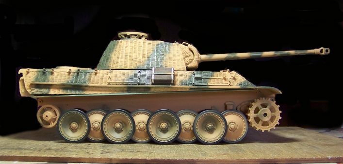 Panther Heng Long 1/16 101_2010