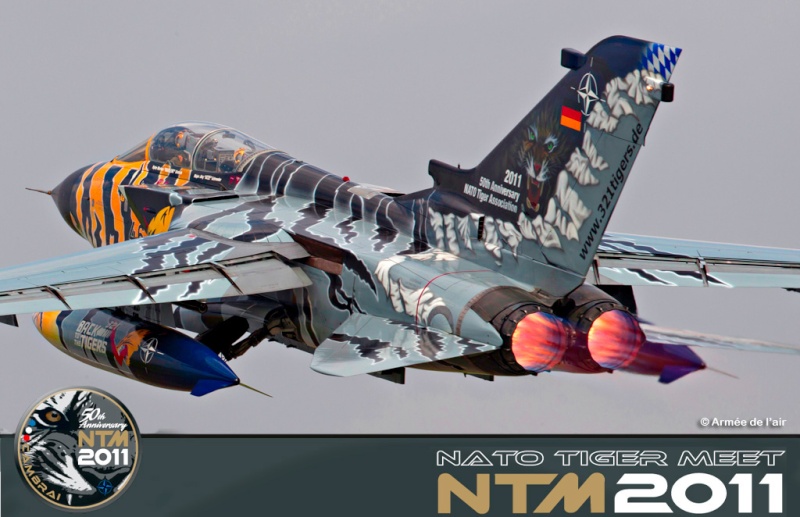 PANAVIA TORNADO - TIGER MEET 2011 Nato-t10