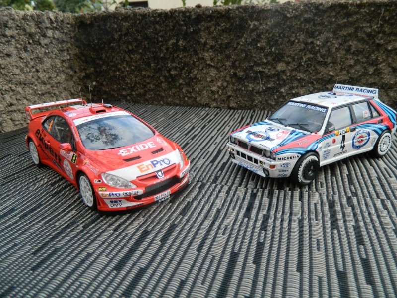 307 wrc + lancia delta gr A & co .... Dscn1716