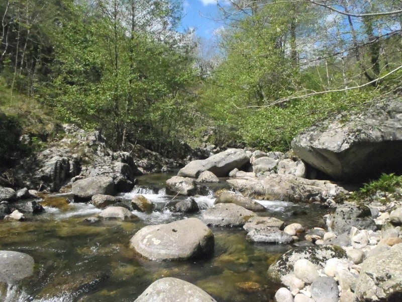 Des re-nouvelles de par là haut à travers - Page 37 P4190210