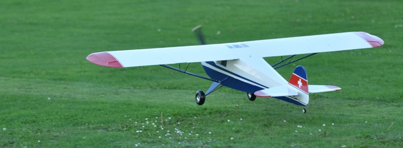 Notre GROOOOOS projet !! The BIG TaylorCraft !!!! - Page 22 Dsc_0010