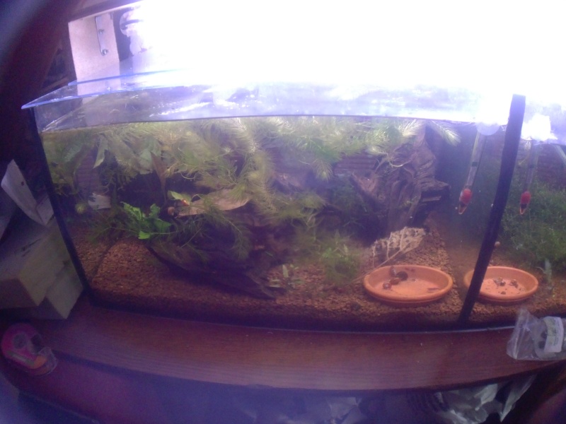 Mes 4 bacs de 60L 111