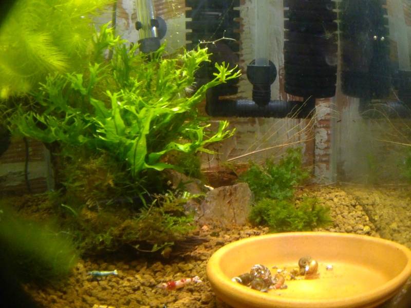 Mes 4 bacs de 60L 210