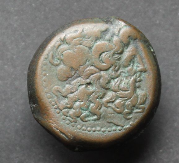 bronze lagide Ptolémée VI Philométor Img_8310