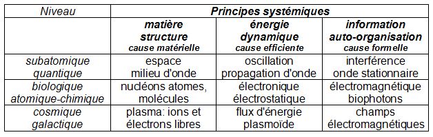 Philosophie holistique et modèle systémique - Page 2 Systam10