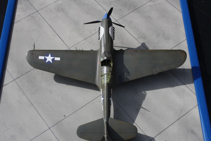 P-40N WARHAWK EDUARD PROFIPACK 1/48 enfin fini  - Page 4 Img_0050