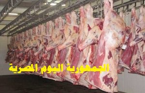 التموين: تخفيض سعر اللحوم المجمدة من 52 إلى 45 جنيها كتبت-ايات ابو الزين Ioiiic10