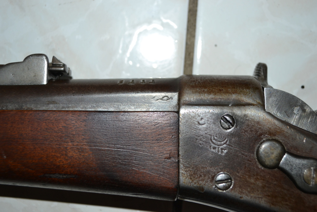 Remington Egyptien ?? Dsc_0101