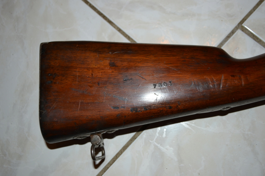 Carabine 1853 T Dsc_0369