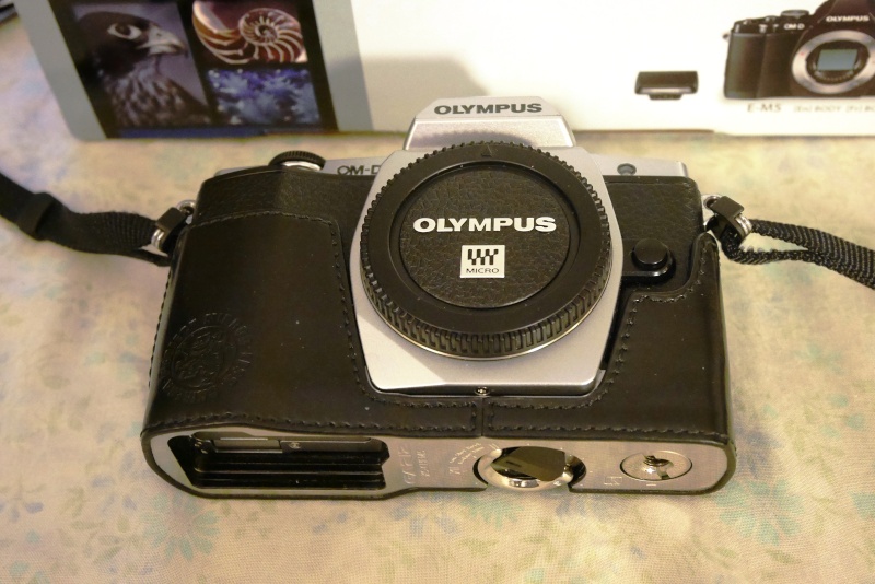 [VENDU] OLYMPUS OM-D E-M5 silver, boîtier nu P1000211