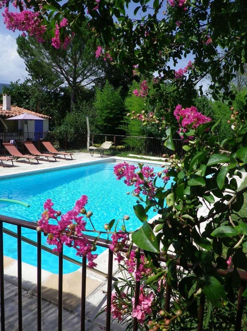 Villa provençale avec piscine et jacuzzi, 83440 Fayence (Var) Piscin10