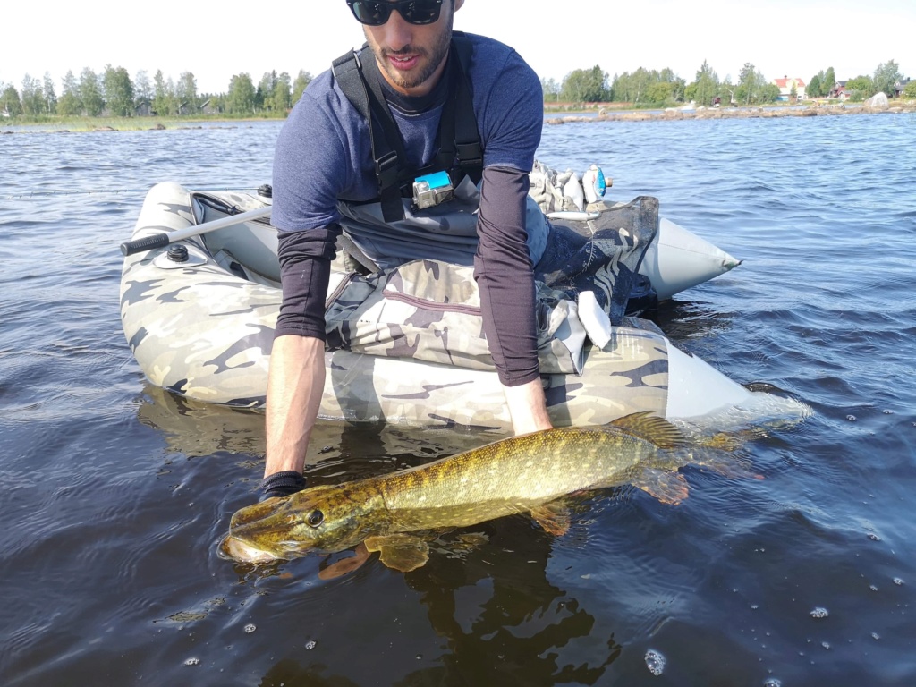 Le voilà- Suède 2019- un mois intense dans la nature Lapone Img_3413