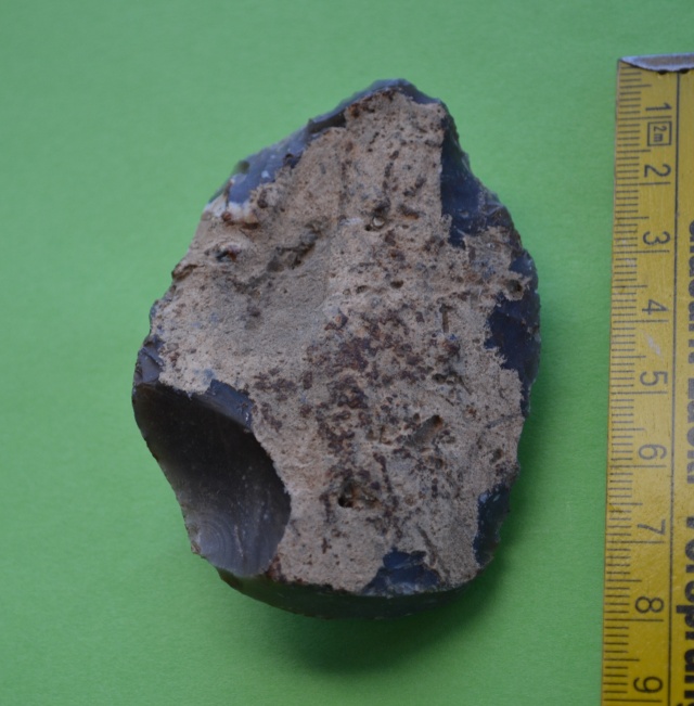 Empreinte d'un petit coquillage Dsc_0037