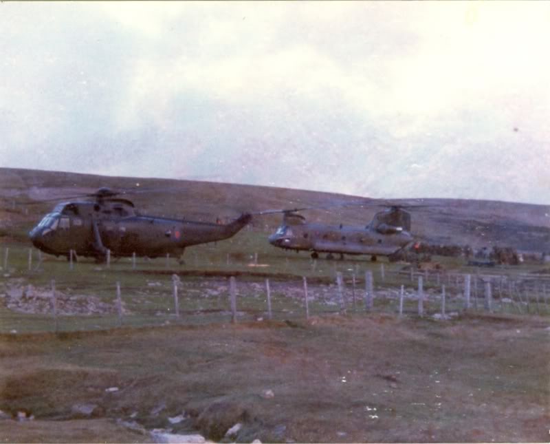 Guerre aérienne aux Malouines : Acte VII : HC-1 Chinook "The Survivor"   Falkla14