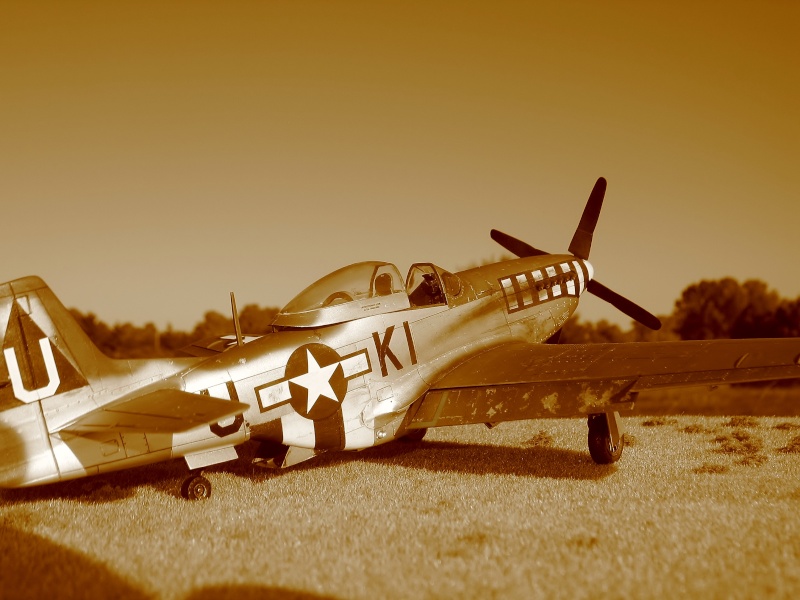 P-51 D Mustang  55 FS 20 th FG  Février 1945...nouvelles photos ! Img_7927