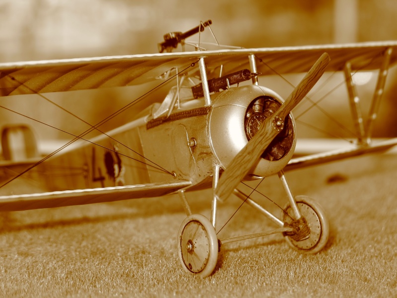 Nieuport 17 N 90 1917 Img_8840