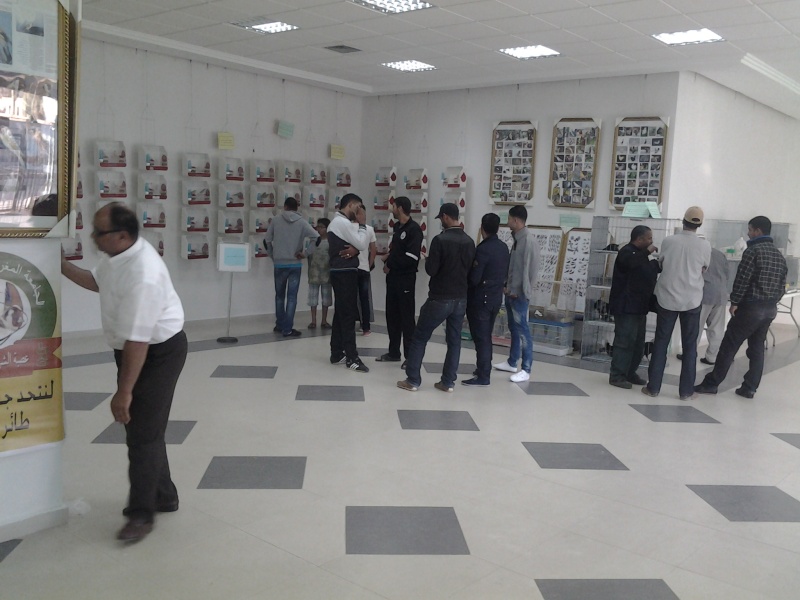 Exposition d'oiseaux à Oujda  20131115
