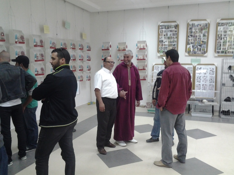 Exposition d'oiseaux à Oujda  20131116
