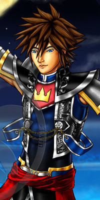 Kingdom Hearts RPG New Generation Sora_s10