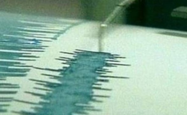Сразу три землетрясения произошли на Дальнем Востоке 85082310