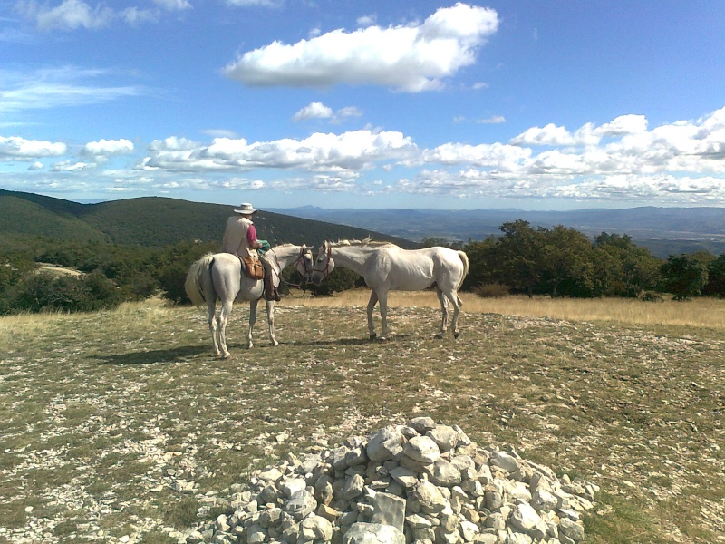 Crinières au vent du Luberon Photo026